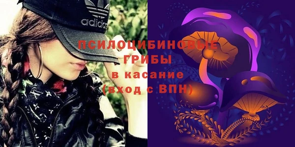 бошки Аркадак