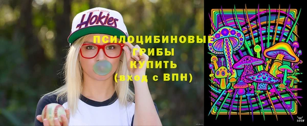 метадон Арсеньев