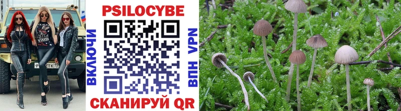 купить наркотик Протвино MEGA онион Галлюциногенные грибы Magic Shrooms